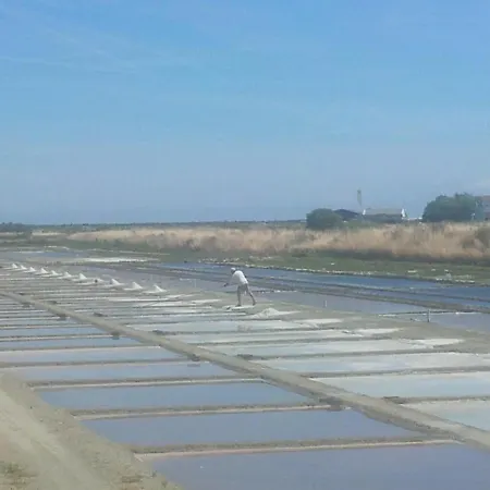 La Passerose 3 Pieces Avec Jardin Au Calme,a 300m De La Plage, 4* ラ・クアルド・シュル・メール