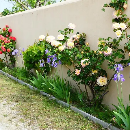La Passerose 3 Pièces Avec Jardin Au Calme,à 300m De La Plage, 4* La Couarde-sur-Mer