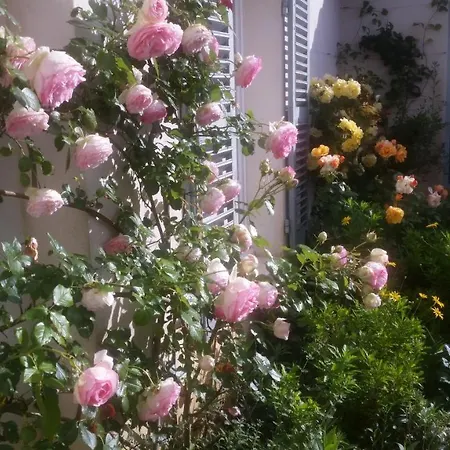 ベッド・アンド・ブレックファスト La Passerose 3 Pieces Avec Jardin Au Calme,a 300m De La Plage,