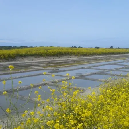 La Passerose 3 Pieces Avec Jardin Au Calme,a 300m De La Plage, ラ・クアルド・シュル・メール