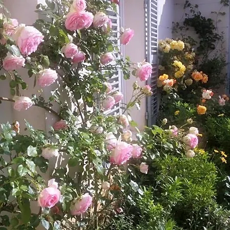 Bed & Breakfast La Passerose 3 Pièces Avec Jardin Au Calme,à 300m De La Plage, La Couarde-sur-Mer
