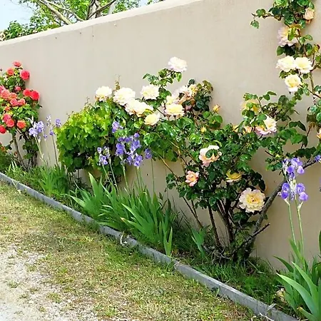 Bed & Breakfast La Passerose 3 Pièces Avec Jardin Au Calme,à 300m De La Plage, 4*