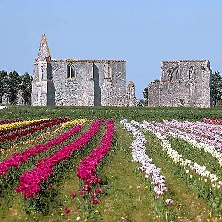 La Passerose 3 Pièces Avec Jardin Au Calme,à 300m De La Plage, Bed & Breakfast