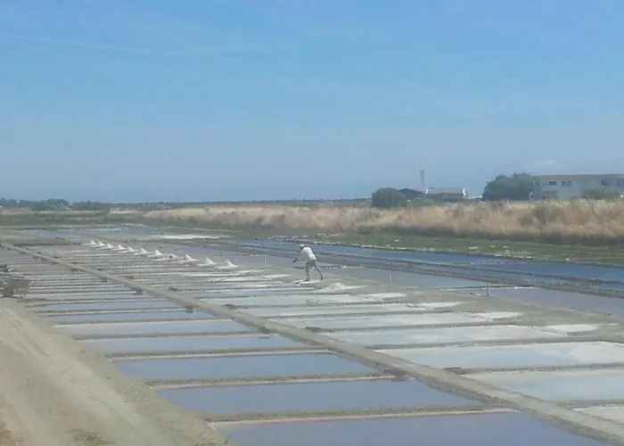 La Passerose 3 Pièces Avec Jardin Au Calme,à 300m De La Plage, 4* La Couarde-sur-Mer