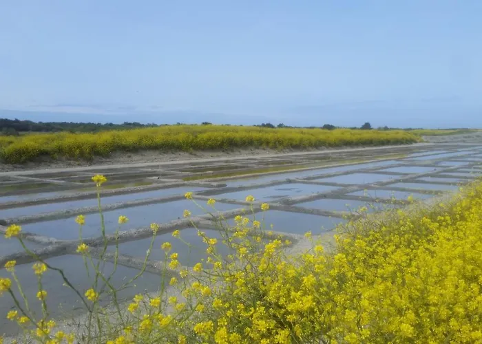 La Passerose 3 Pièces Avec Jardin Au Calme,à 300m De La Plage, La Couarde-sur-Mer