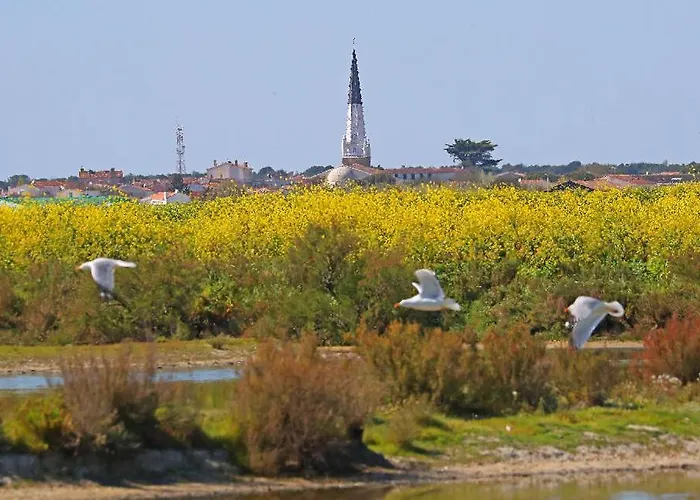 La Passerose 3 Pièces Avec Jardin Au Calme,à 300m De La Plage, Alojamento de Acomodação e Pequeno-almoço