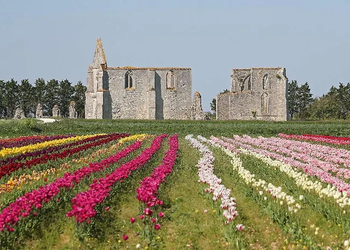 La Passerose 3 Pièces Avec Jardin Au Calme,à 300m De La Plage, La Couarde-sur-Mer